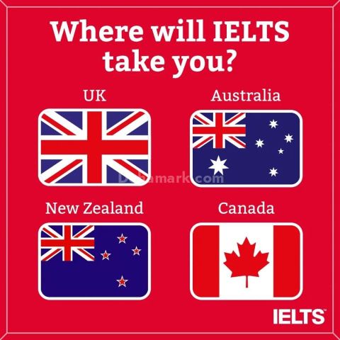 Master IELTS & Get the Score You Need