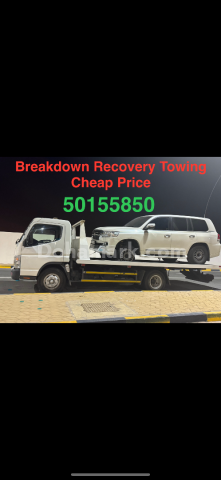 برکدون ریکوری رایان مسٹر