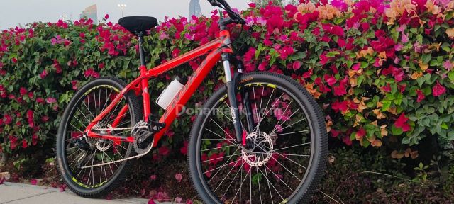 New Easky storm mountain bike