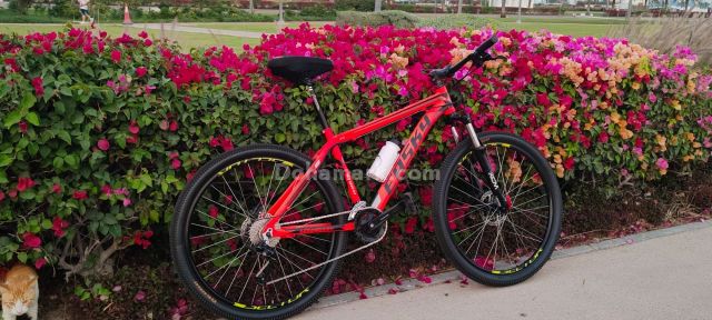 New Easky storm mountain bike