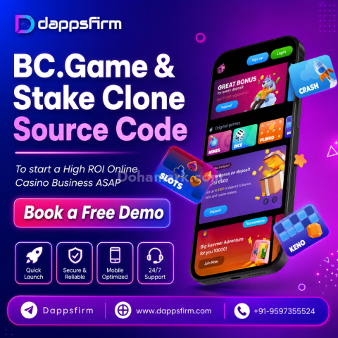 Professional Crypto Casino Development with Ready Clone Source