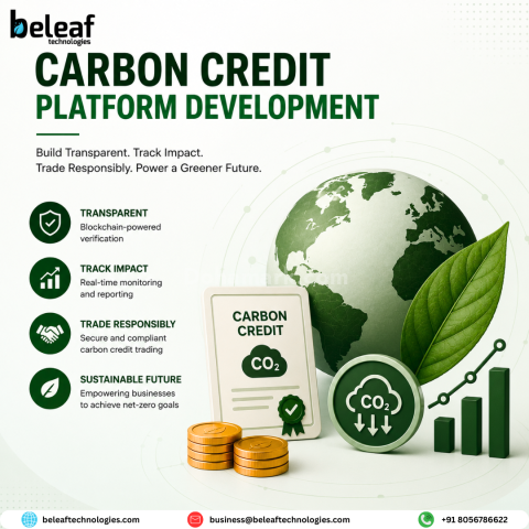 Turn Sustainable Into Profit: Carbon Credit Platform Development