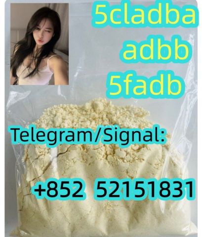5cladba 5cl yellow powder 5cladba from best supplier