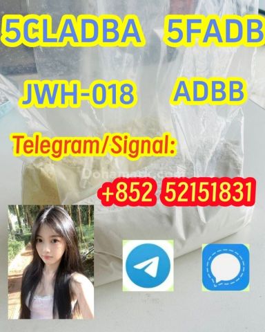 5cladba raw material 5CL-ADB-A precursor raw 5cladba 5f adb