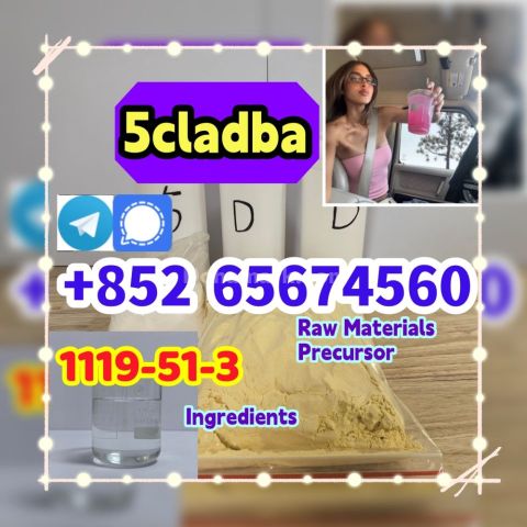 CAS 1119-51-3  Bromo-1-pentene  telegram/signal+852 65674560  5cl