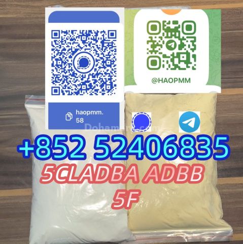 5cladba 5cl yellow powder 5cladba from best supplier