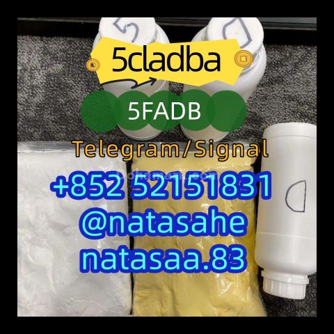 5cladba raw material 5CL - ADB - A precursor raw 5cladba 5f adb