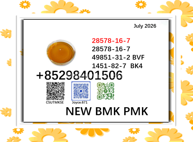 28578-16-7 PMK 5449-12-7 glycidic acid BMK specialty chemical