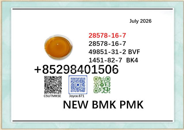 BMK 5449-12-7 supplier high purity 28578-16-7 PMK 1451-82-7