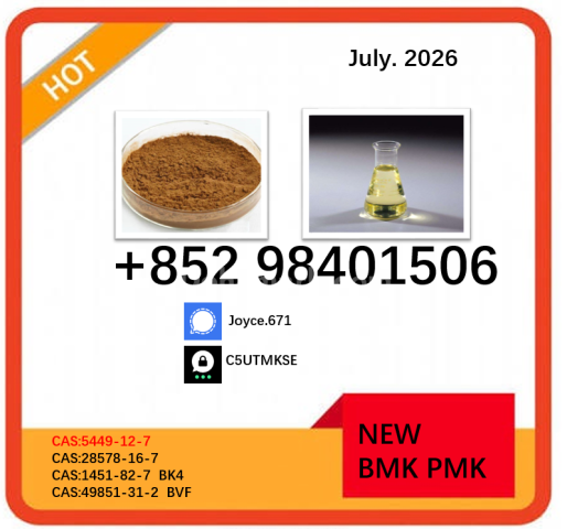5449-12-7 BMK powder glycidic acid sodium salt PMK 28578-16-7