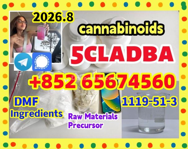 Protonitazene CAS 119276-01-6  (hydrochloride)，opioid，telegram/s