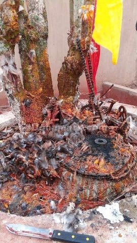 +2348167256910 #أين يمكنني الانضمام إلى طقوس سرية غامضة للحصول عل
