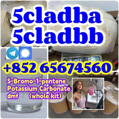 5cladba,raw material，Telegram/Signal：+852 65674560  5cladba Raw M