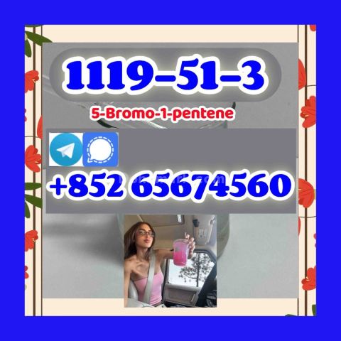 CAS 1119-51-3  Bromo-1-pentene  5cladba Raw Materials precursor，5