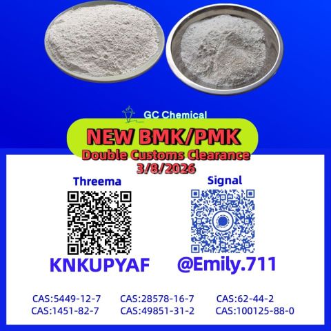 Regular verification BMK CAS 5449-12-7 reviewed continuously/1360