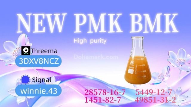 High Purity PMK Oil CAS 28578-16-7 | Professional Chemical Suppli