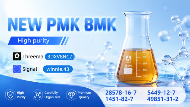PMK Oil CAS 28578-16-7 – High Purity Chemical Supplier