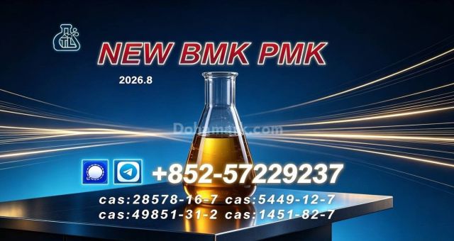 Premium BMK Glycidic Acid CAS 5449127 Trusted Supplier