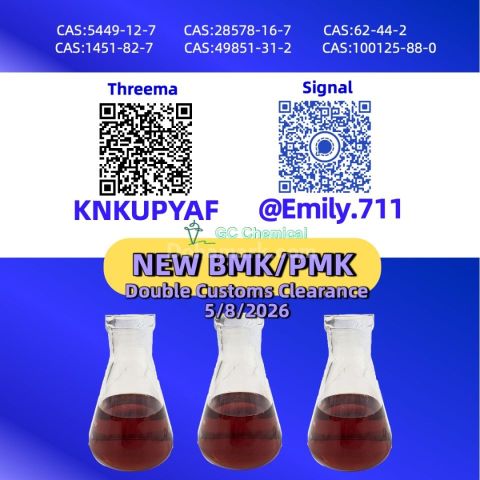 Professional PMK Oil CAS 28578-16-7 for overseas markets /13605-4