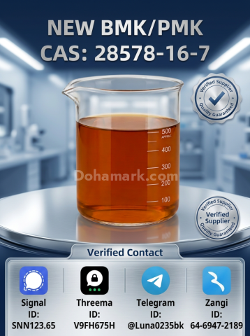 PMK CAS 28578-16-7 Internal Record