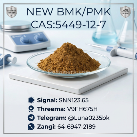 PMK CAS 28578-16-7 Internal Record