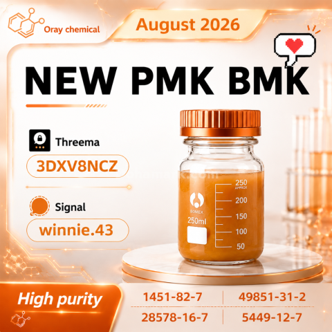 CAS 28578-16-7 PMK Product Documentation
