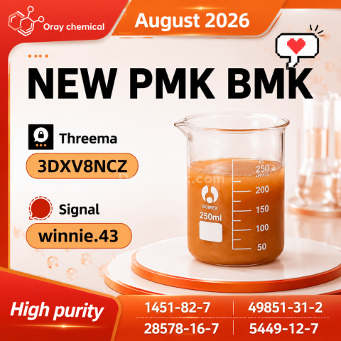 CAS 28578-16-7 PMK Technical Information