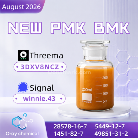 CAS 28578-16-7 PMK Technical Information