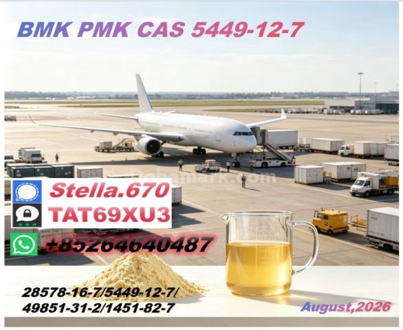  New CA.S P.M.K 28578-16-7/ CAS 5449-12-7// High Grade Chemical I