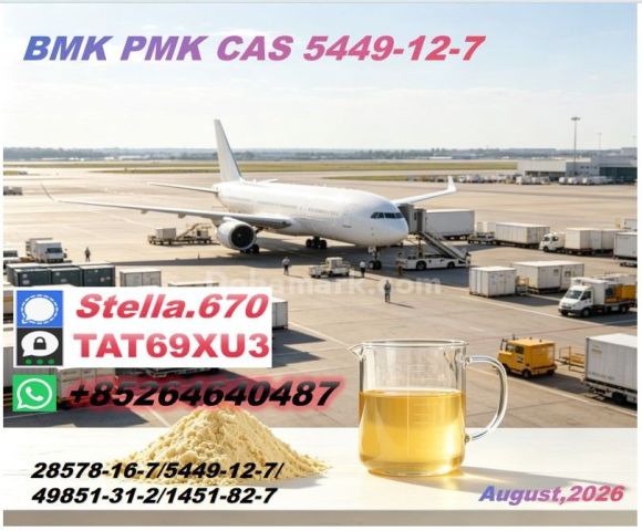  New CA.S P.M.K 28578-16-7/ CAS 5449-12-7// High Grade Chemical I