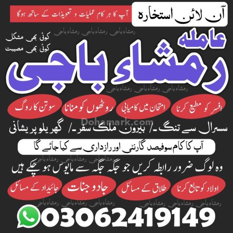 Best Astrologer & Famousamilbaba | Kalailam Specialist
