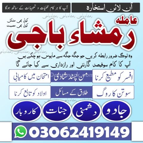Best Astrologer & Famousamilbaba | Kalailam Specialist