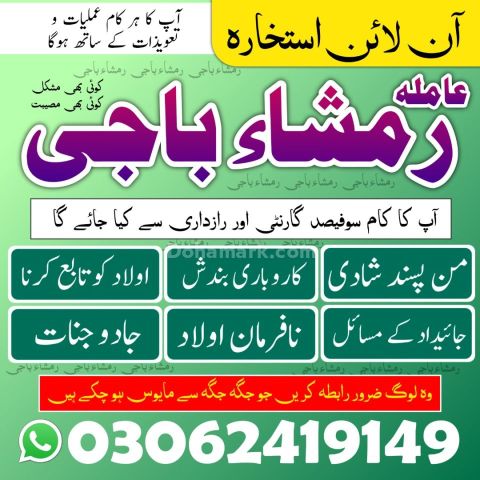 Best Astrologer & Famousamilbaba | Kalailam Specialist