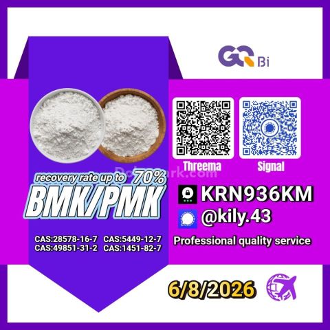 PM.K 28578-16-7/ BM.K C.AS:5449-12-7/ low price chemicals