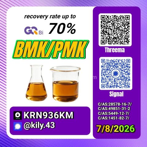 PM.K 28578-16-7/ BM.K C.AS:5449-12-7/ wholesale-grade chemical ma