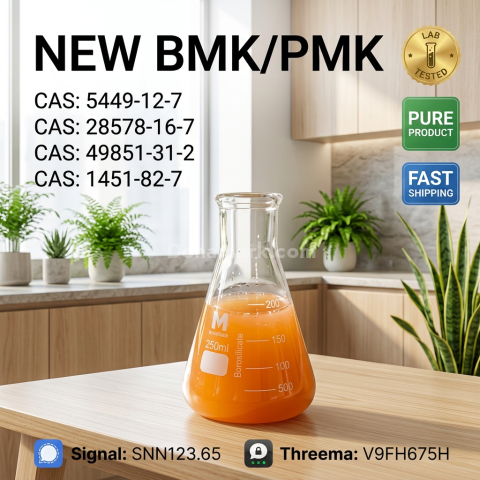 PMK CAS 28578-16-7 Internal Record