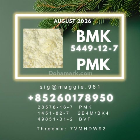 CAS 28578-16-7 New PM.K B.MK Fast Shipping