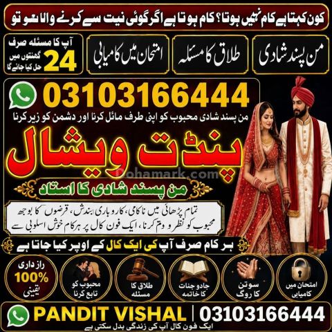 Amil baba  in USA Best no 1 Amilbaba 03103166444