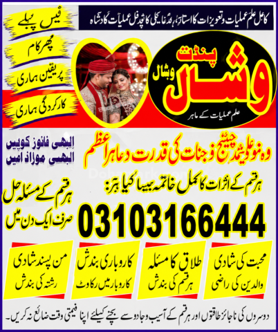 Amil baba  in USA Best no 1 Amilbaba 03103166444