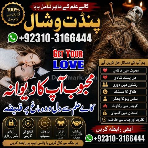 Amil baba  in USA Best no 1 Amilbaba 03103166444