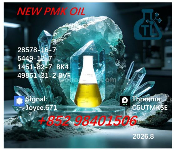High Purity Specialty Manufacturer PMK 28578-16-7 BMK 5449-12-7