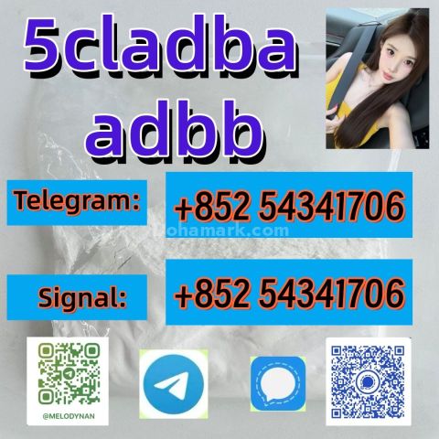 5cladba 5f raw material 5CL-ADB-A precursor raw 5cladba 5f adb