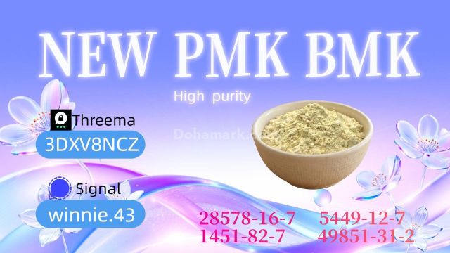 PMK CAS 28578-16-7 Technical Resources and Information