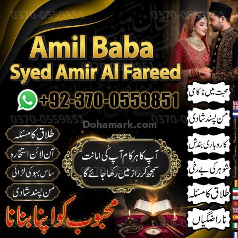 Vashikaran Specialist Astrologer,Ex back manifestation