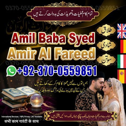 #AstrologerInToronto #TorontoCanada #AstrologerInCanada