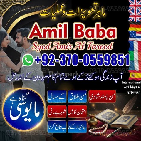 Ex back Solution expert Tantrik Astrologer