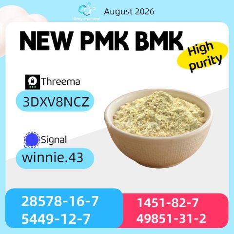 PMK CAS 28578-16-7 Product Data and Information Overview