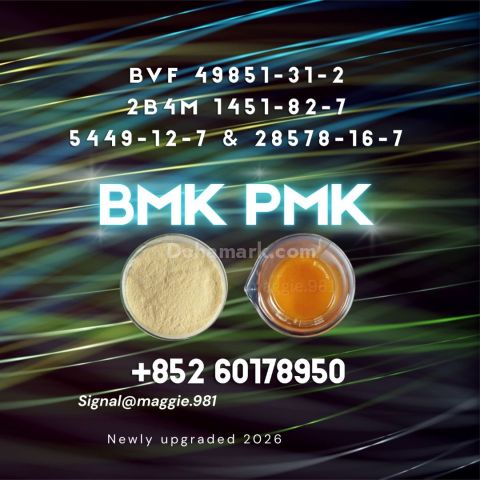 New B.MK CAS 5449-12-7 PM.K for bulk orders