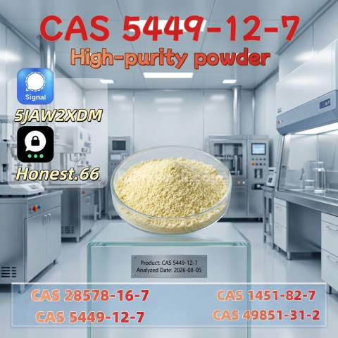 99.9% Purity BMK Sodium Salt (CAS 5449-12-7) | Professional Lab G