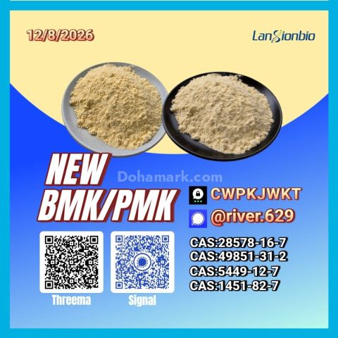 New PM.K 28578-16-7/ BM.K C.AS:5449-12-7/ large-scale chemical su